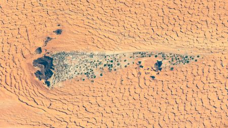 Satellite photo of a town full of crop circles next to a mountain in the desert