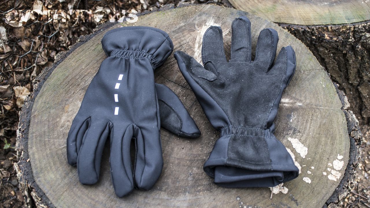 La Passione Deep Winter gloves