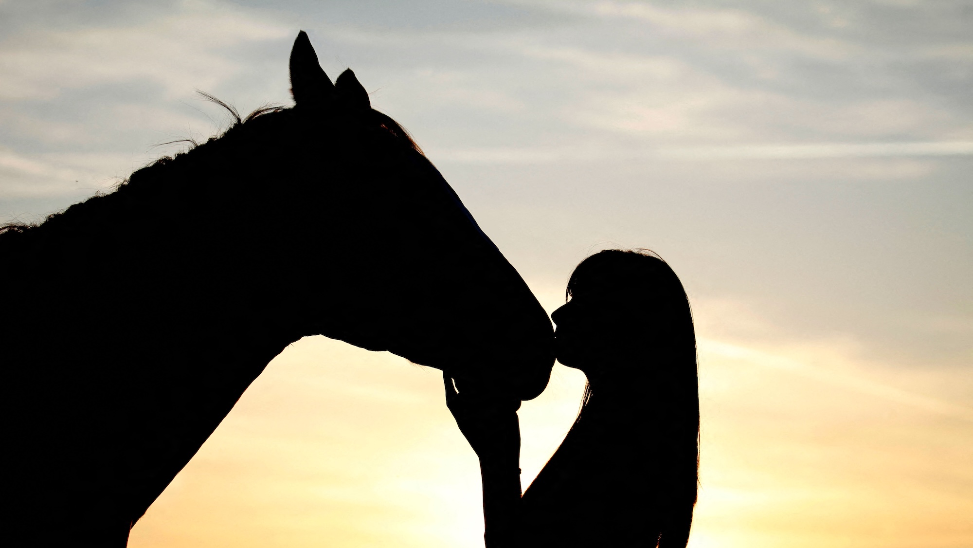 A silhouette of a girl kissing a horse