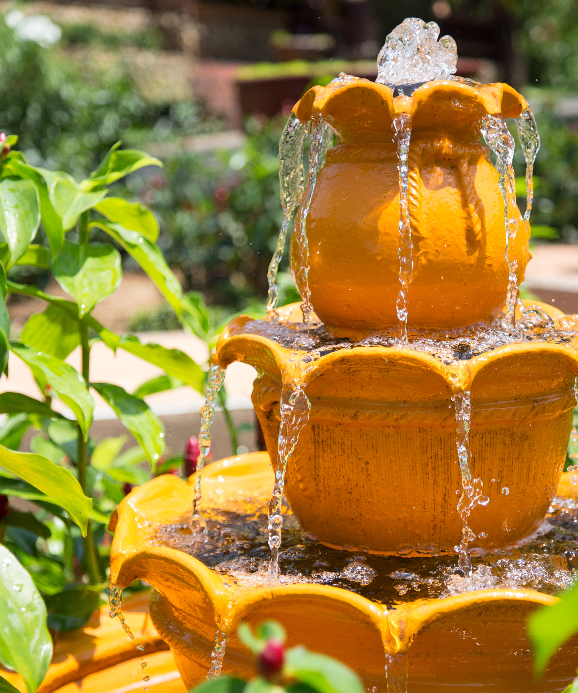 Close-up of Beautiful Fountain in Garden