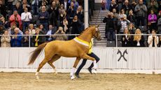 The Donkey Boss colt sold for &euro;2m.