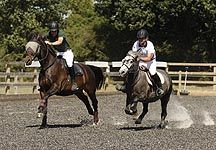 HicksteadSkyYouthScheme.jpg
