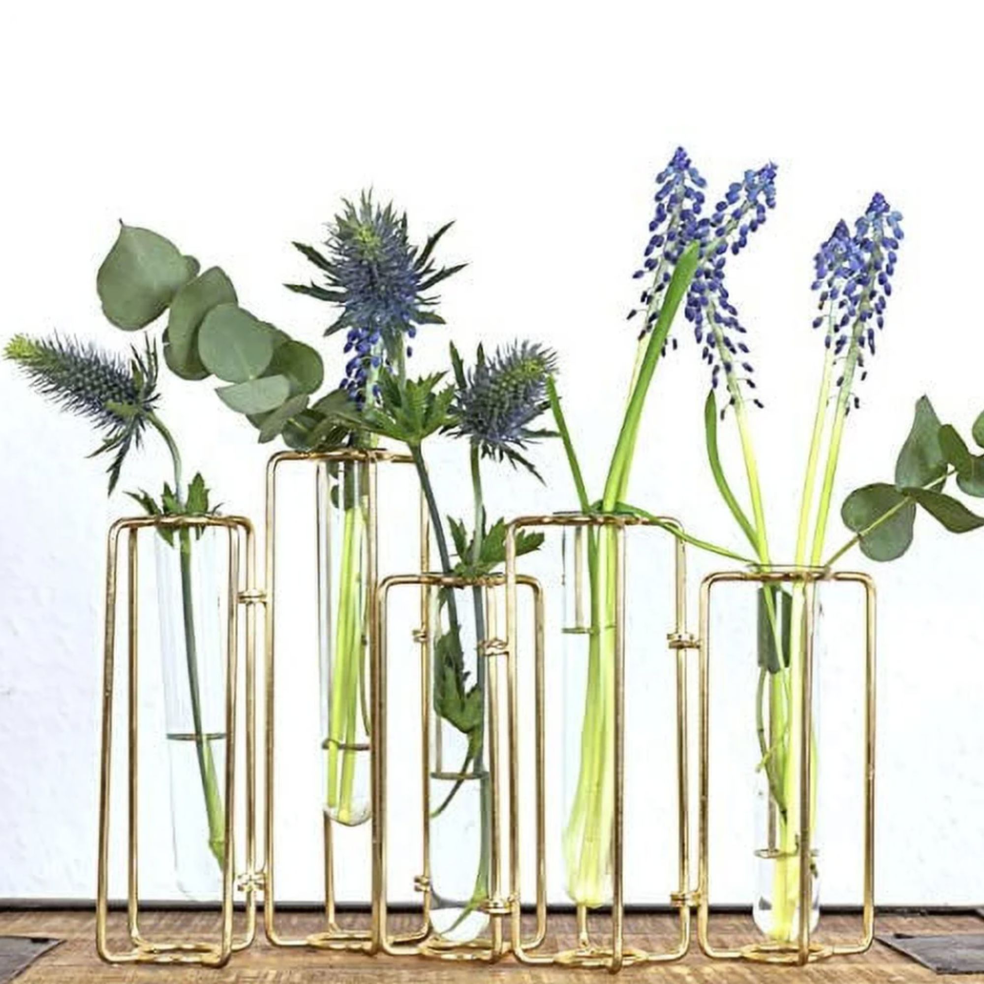 test tube vases in a brass frame with single flower stems in