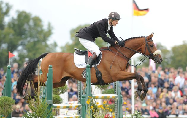 Tamarillo-burghley-2008.jpg