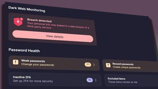 A screenshot of the Proton Pass dark web monitoring service window.
