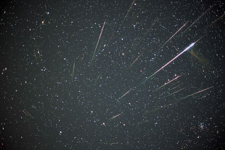 Leonid Meteors November 2011