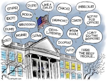 Political cartoon U.S. Trump administration White House chaos Fire and Fury