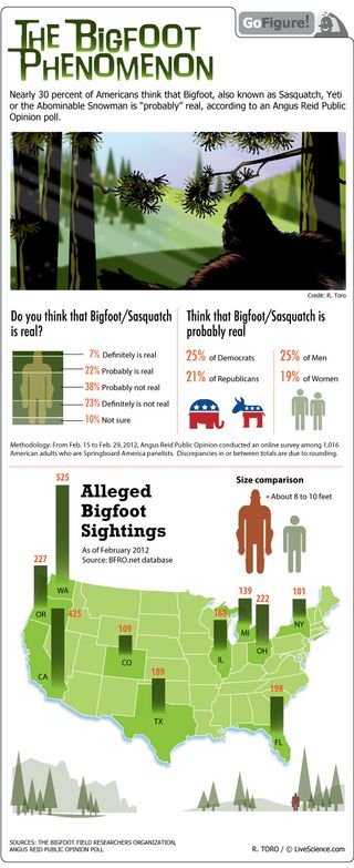 About one in three people surveyed say that Bigfoot "probably" exists.