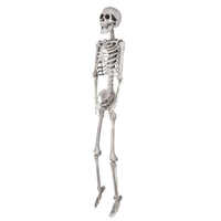 5ft Full Body Skeleton | Was $107.95 | Now $42.95