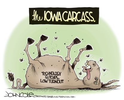Political Cartoon U.S. Democrats Iowa Caucus DNC low turnout tech issues