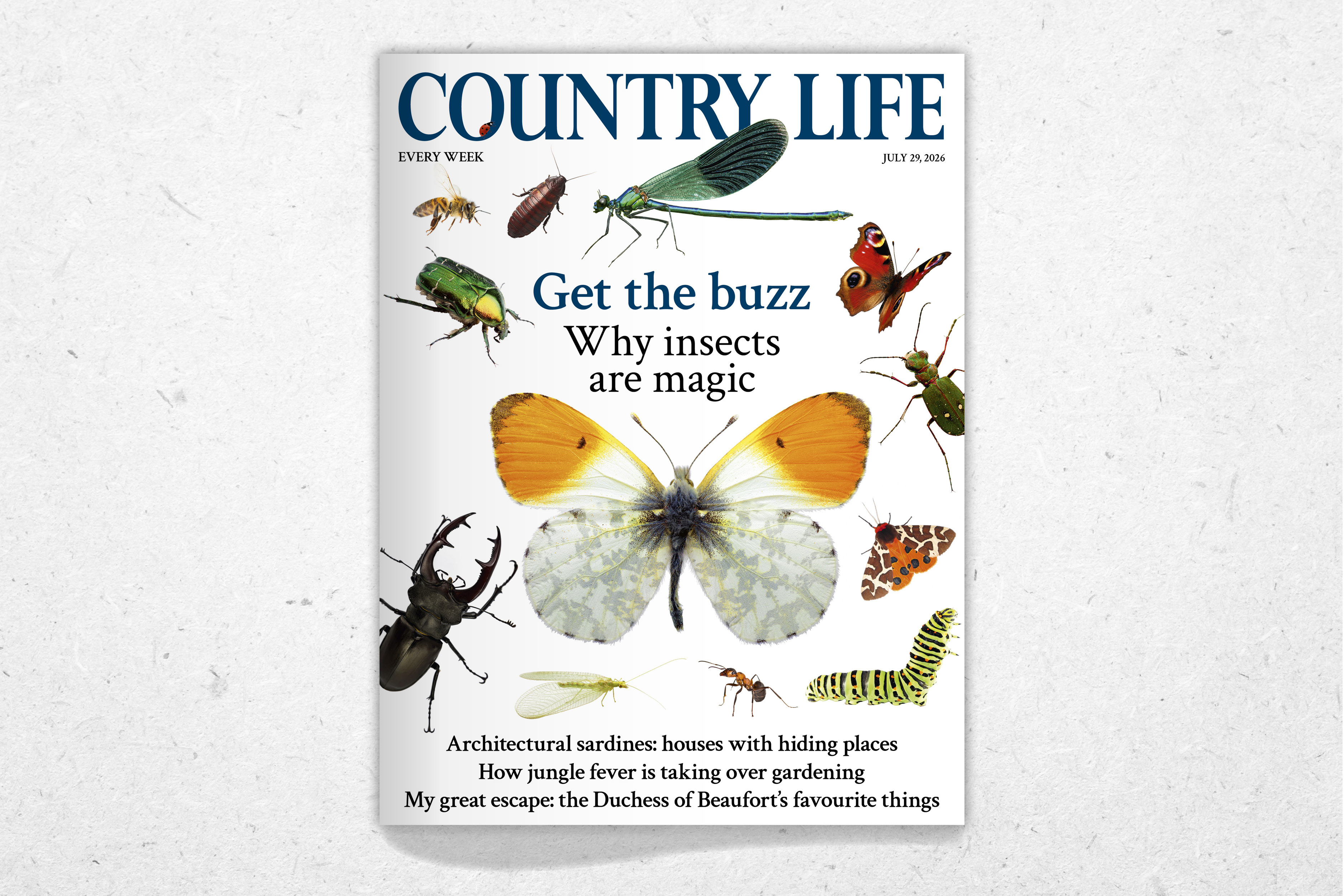 Cover of Country Life 29 July 2026 