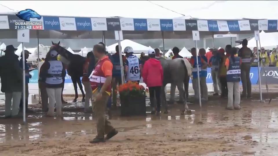 vetting-at-WEG.jpg