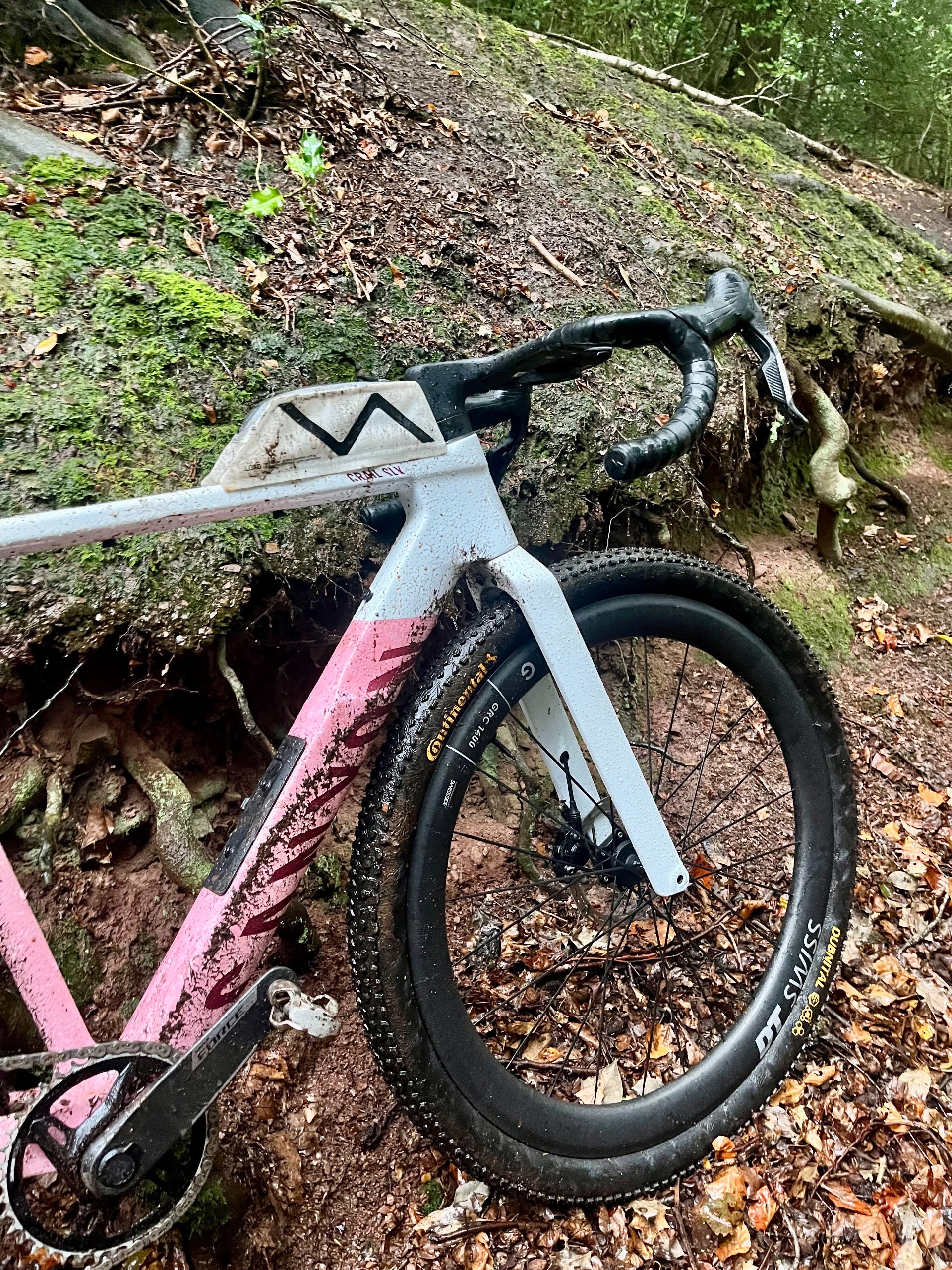 A muddy Canyon Grail CF SLX leaning against a bank in some woodland