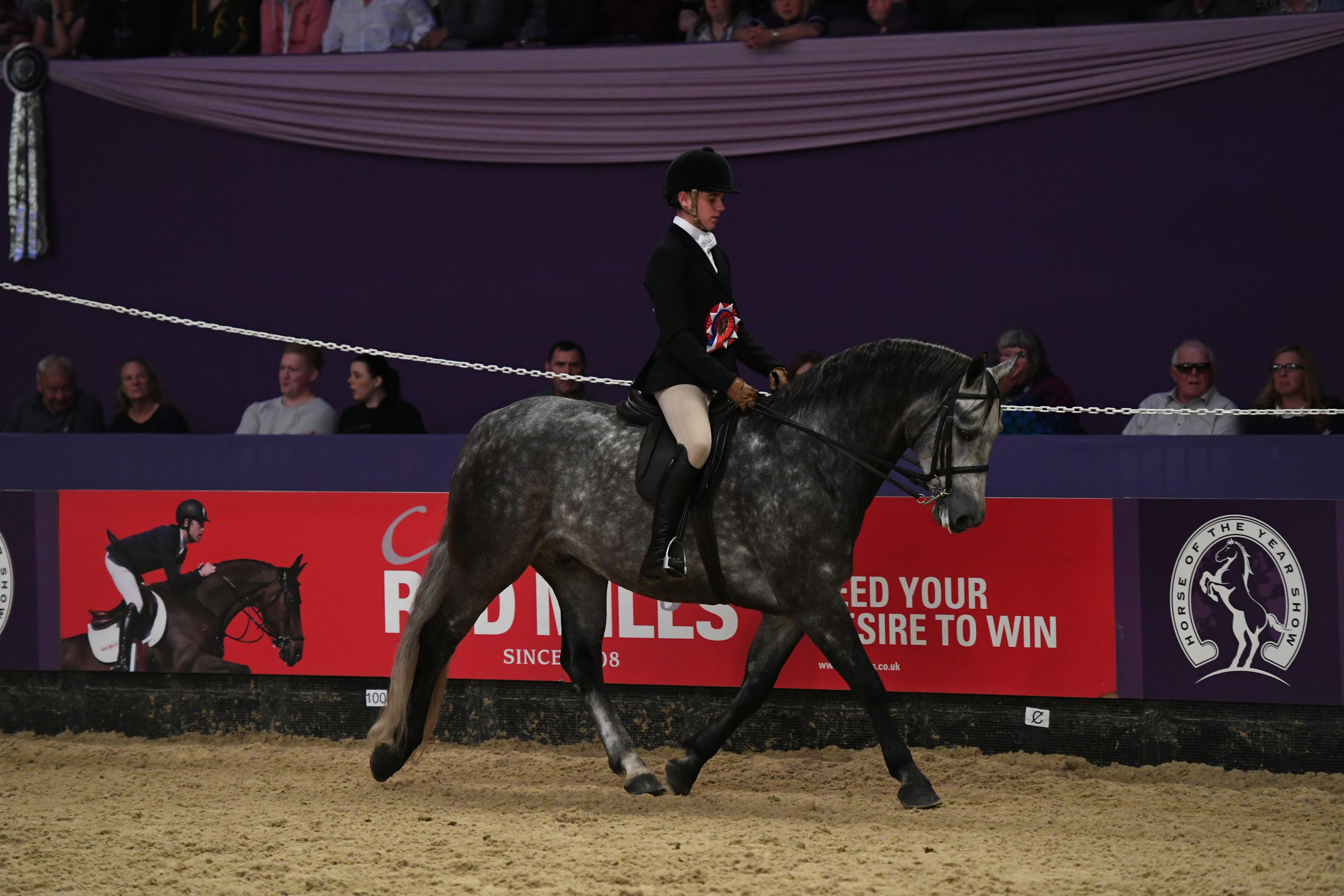 JNUNIOR CHAMP SKELLORN PRAIRE STARLIGHT