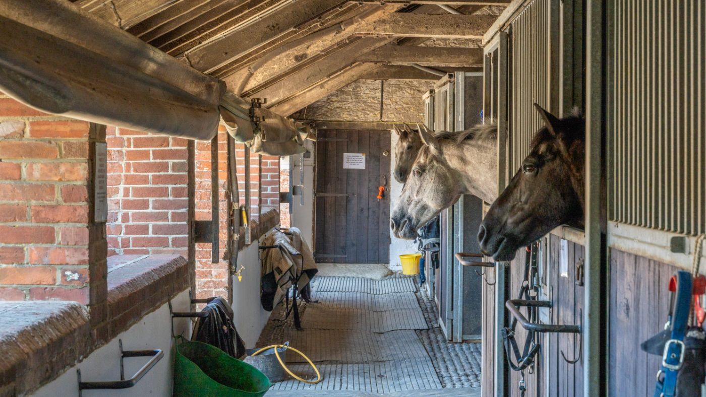 Locketts Farm, Dorset, Knight Frank (20)