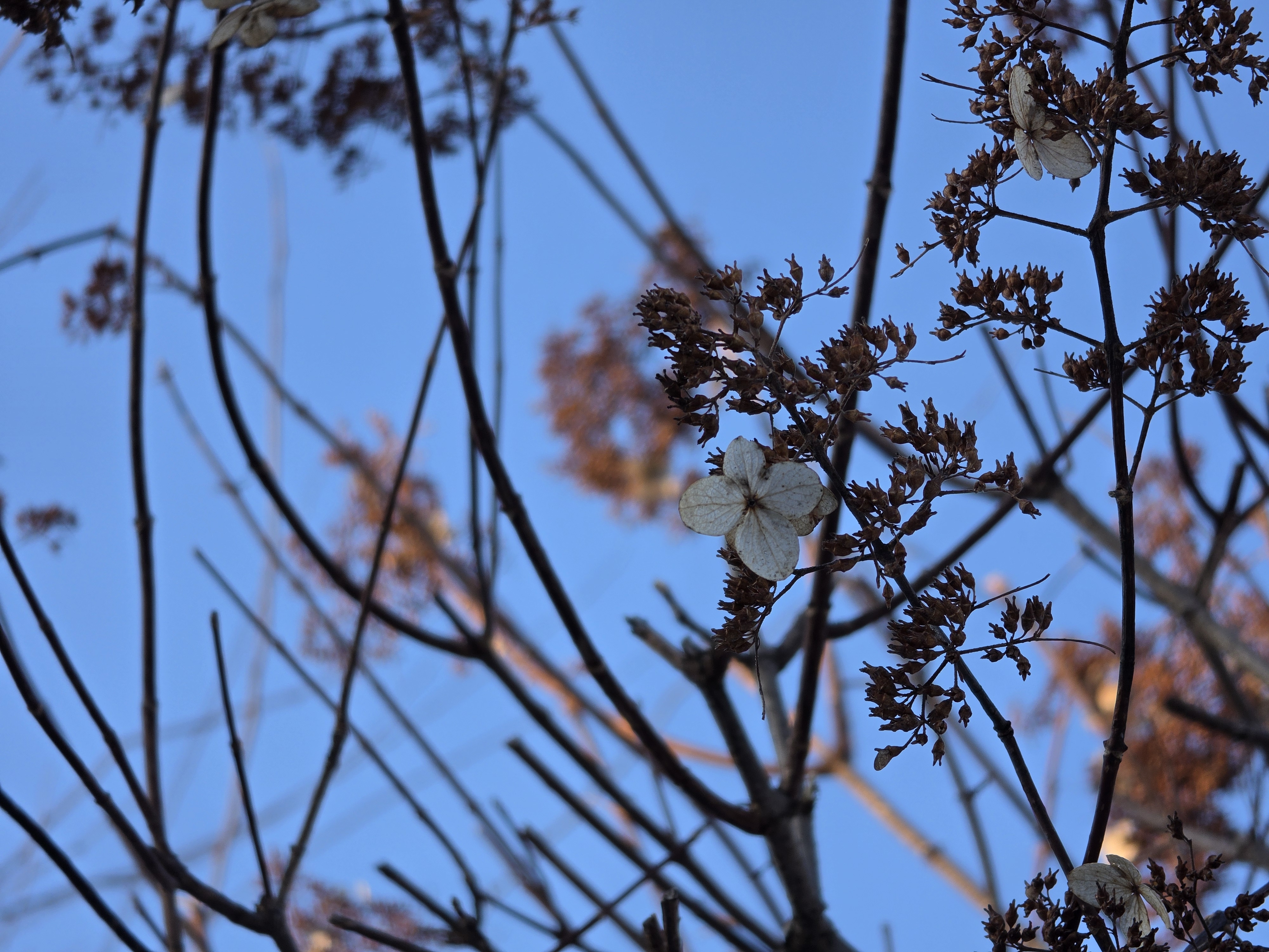 Samsung Galaxy S26 Ultra