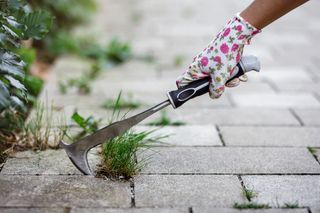 Removing weeds from patio with tool