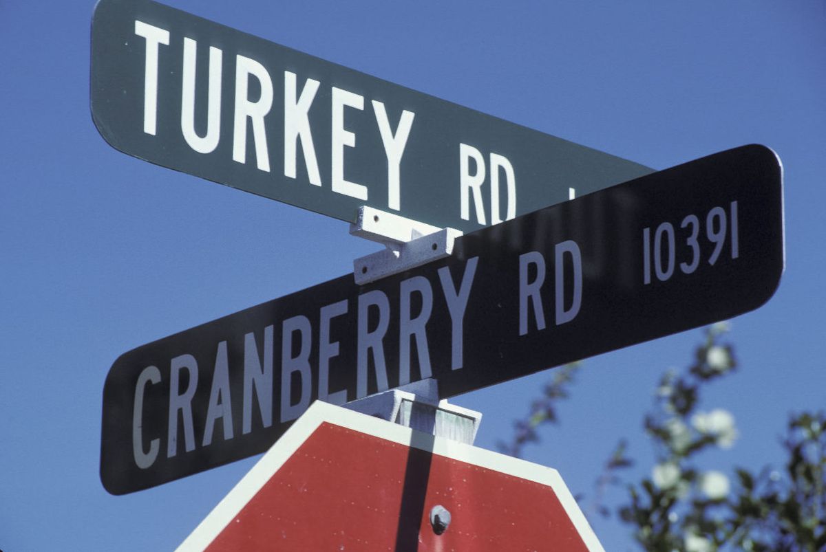 Street signs at the intersection of Turkey Rd. and Cranberry Rd. 