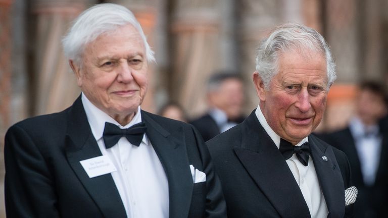 Sir David Attenborough and Prince Charles, Prince of Wales attend the "Our Planet" global premiere at Natural History Museum on April 04, 2019 in London, England.