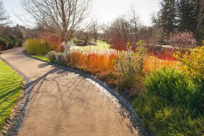 Winter jobs in the garden: 21 cold-weather chores that take care of