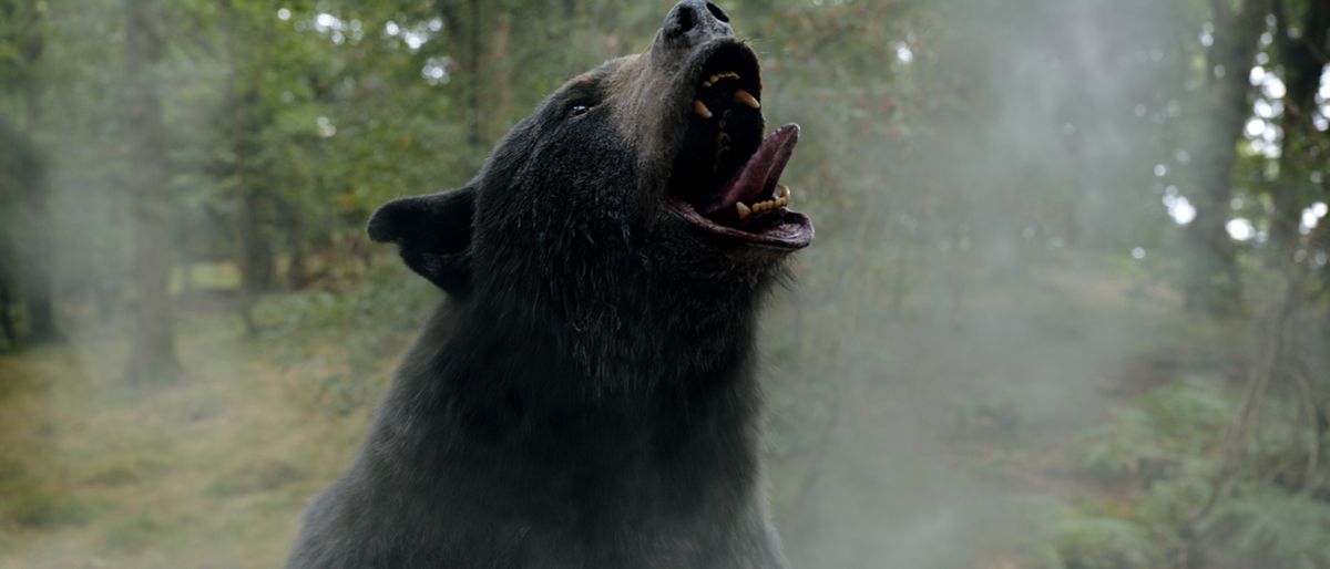 Cocaine Bear being showered with a dusting of cocaine in the woods.