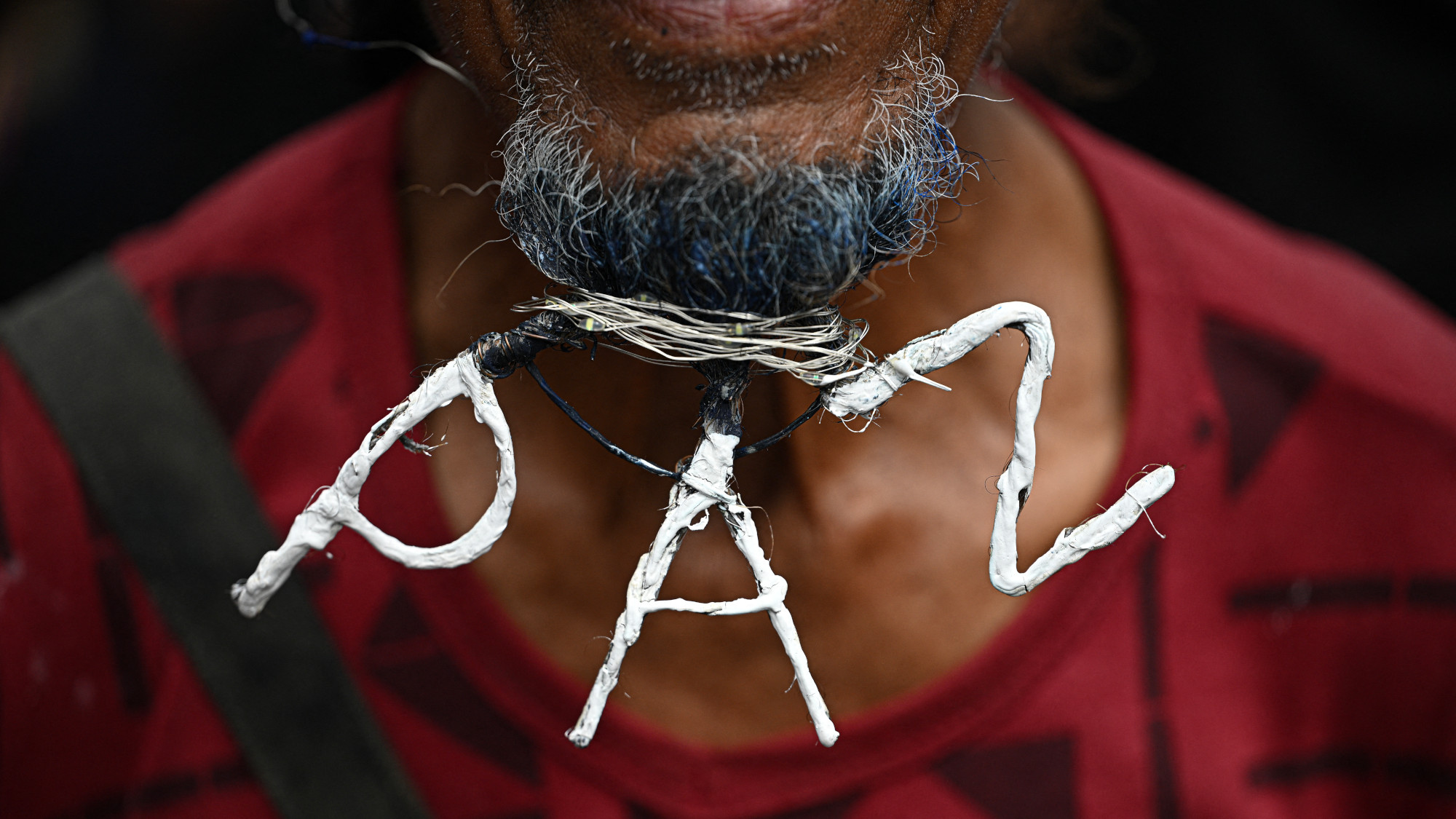 A man&#039;s beard