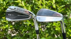 Photo of forged and cast irons