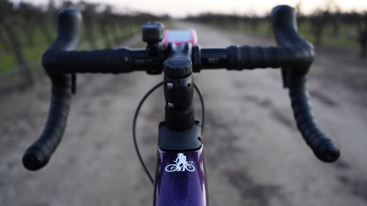 Alison Tetrick's Specialized S-Works Roubaix
