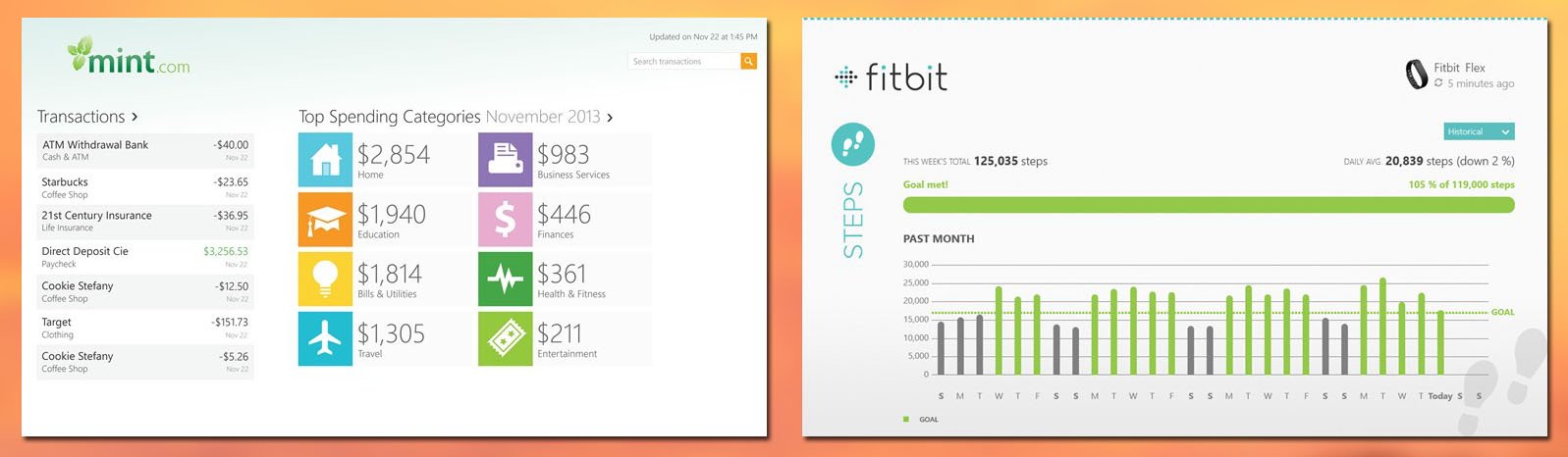 Mint and Fitbit Screenshots