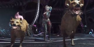 Harley Quinn siccing her hyenas