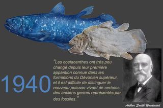 An image of a coelacanth and A Smith Woodward with a quote in French about the fish