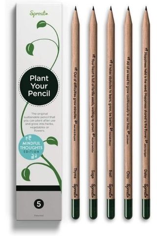 a set of five Sprout Graphite Plantable Pencils next to the packaging