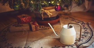 Base of a decorated christmas tree on a circular gray mat with presents surroudning it and a watering can to make your question t how often should you water a Christmas tree