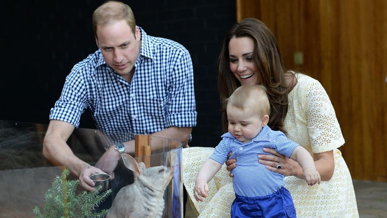 sydney, australia april 20 no uk sales for 28 days prince william, duke of cambridge, catherine, duchess of cambridge and prince george of cambridge meet a bilby called george as they visit the bilby enclosure at taronga zoo on april 20, 2014 in sydney, australia the duke and duchess of cambridge are on a three week tour of australia and new zealand, the first official trip overseas with their son, prince george of cambridge photo by poolsamir husseinwireimage