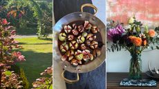 Autumn leaves, figs in a pan and vase of dahlias