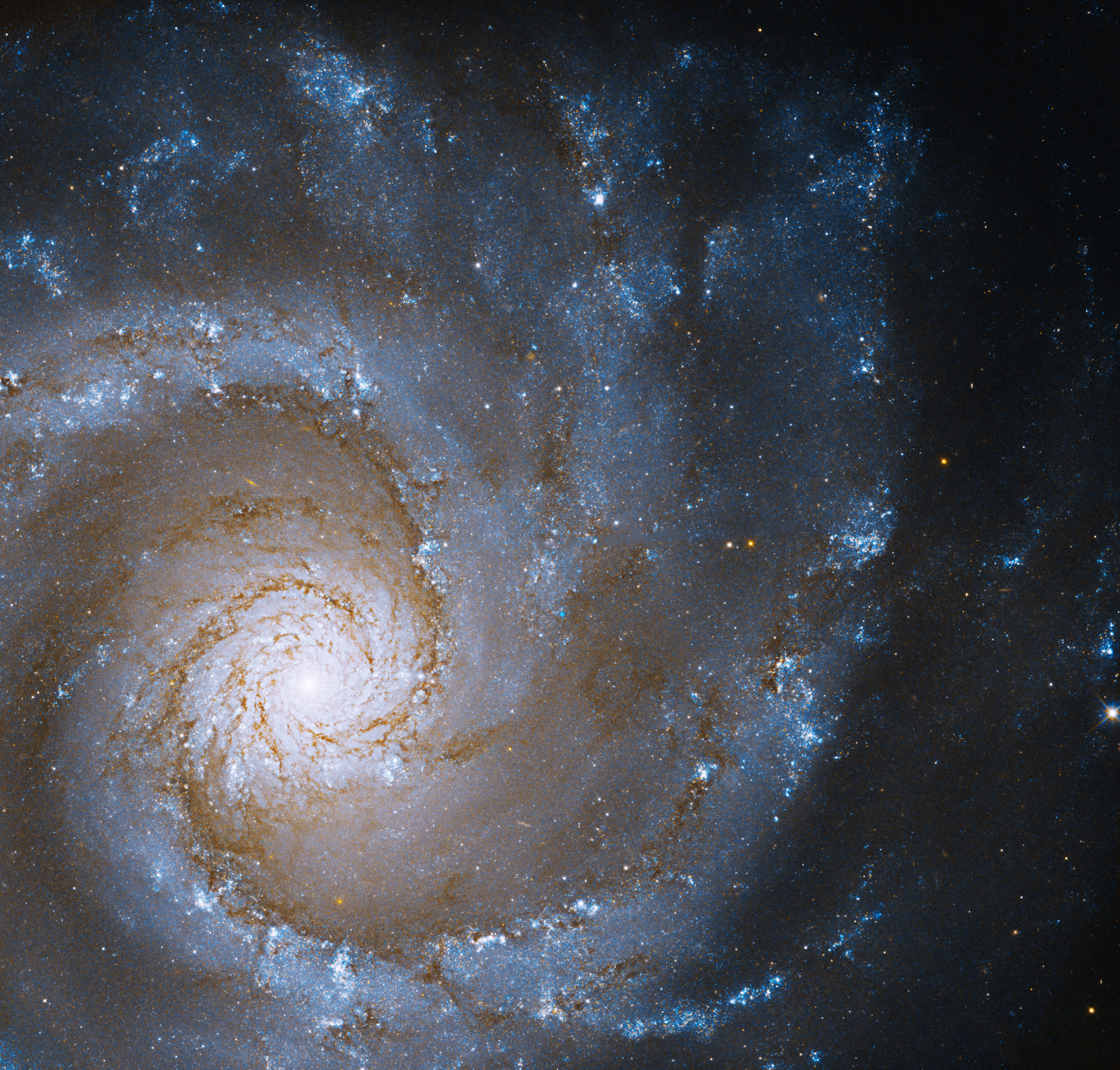 Spiral galaxy filled with stars.