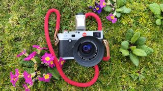 Leica M240 pictures with lens