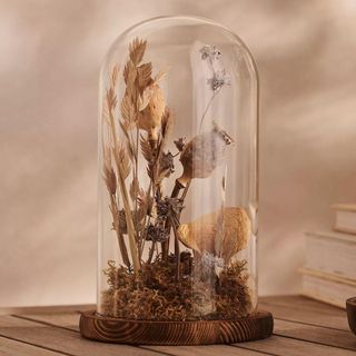 A mushroom dried floral arrangement in a glass klosh