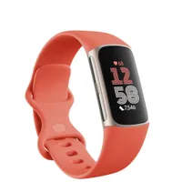 Fitbit Charge 6:$159.95$99.95 at Amazon