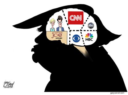 Political cartoon U.S. Trump tweets MSNBC CNN Morning Joe fake news