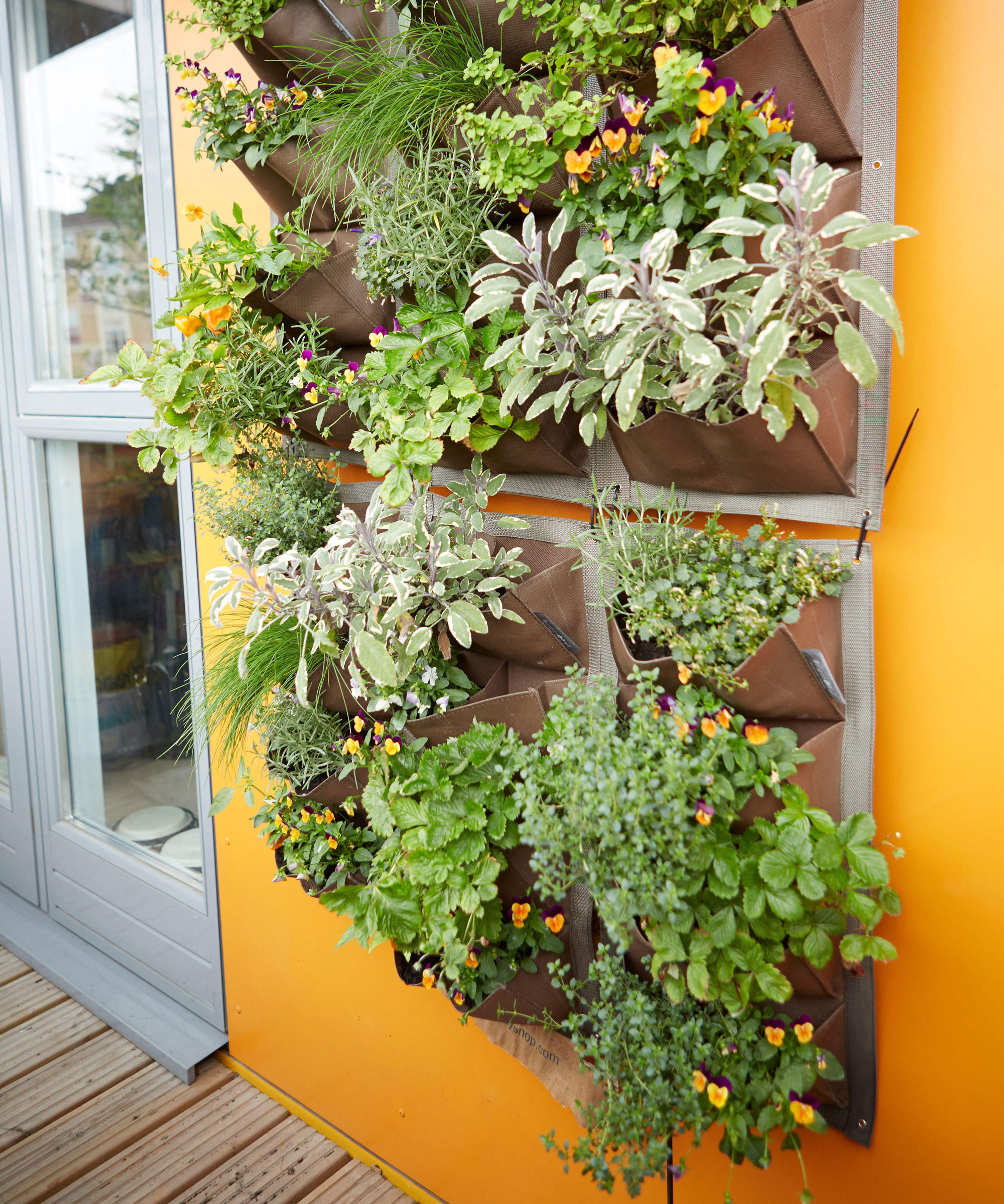 vertical planter filled with small plants such as herbs, hanging on a wall painted orange