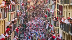 San Fermín Festival