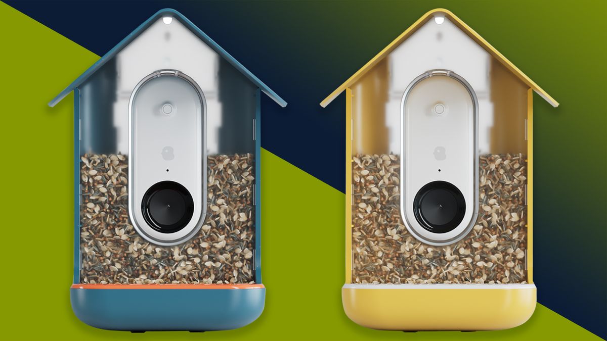 The best bird feeder camera in 2023: birdwatching at home | TechRadar