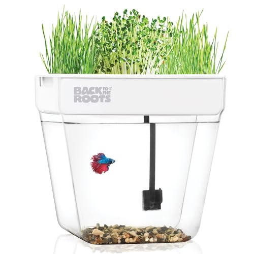Back to the Roots Indoor Aquaponic Garden - 3 Gallon Self Watering, Mess-Free Planter and Self-Cleaning Fishtank for Herbs, Microgreens, Bamboo, Succulents, and Houseplants, Support Fish
