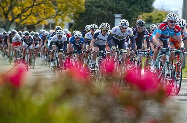 The peloton head around the streets of Moe during stage five of the tour.