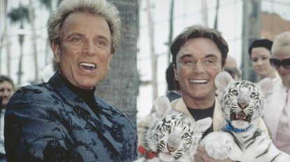 Siegfried and Roy The magicians Siegfried (left) and Roy (Siegfried Fischbacher and Uwe Ludwig Horn) hold young white tigers in their arms. 