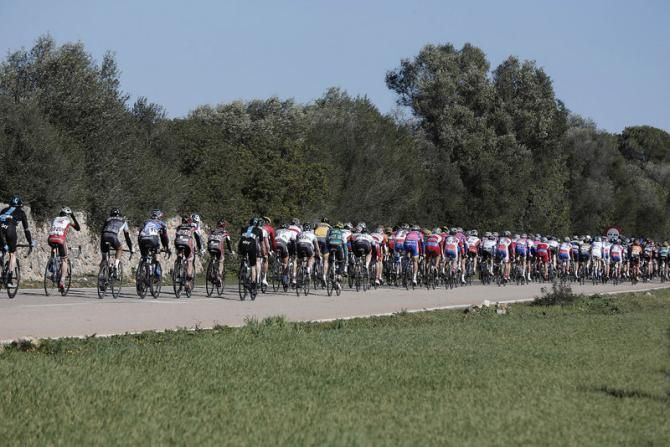 The peloton lined out en route to Ses Selines