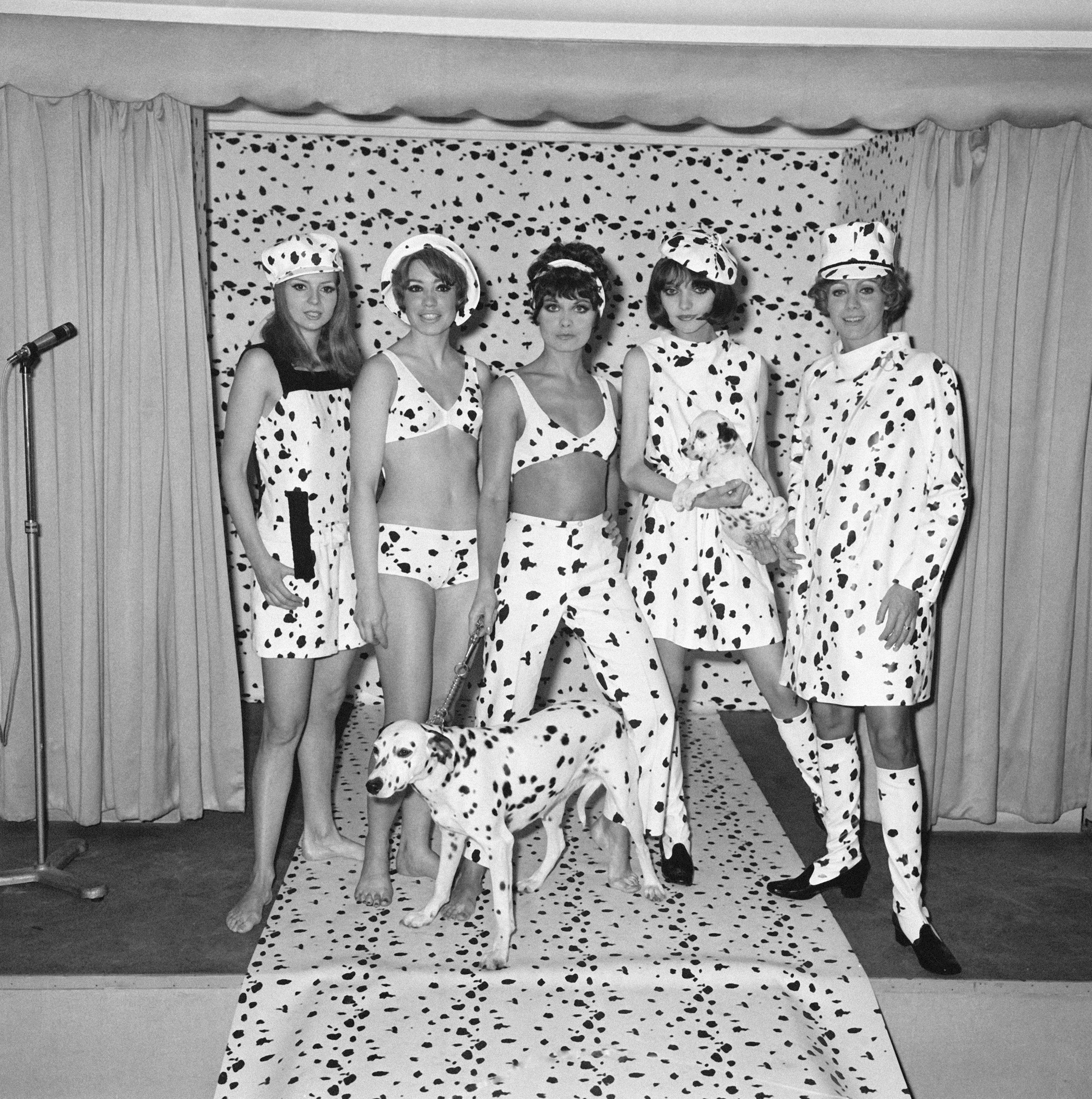 Five women pose on a runway wearing dalmatian-print outfits, with a dalmatian and a puppy positioned at the centre of the scene.