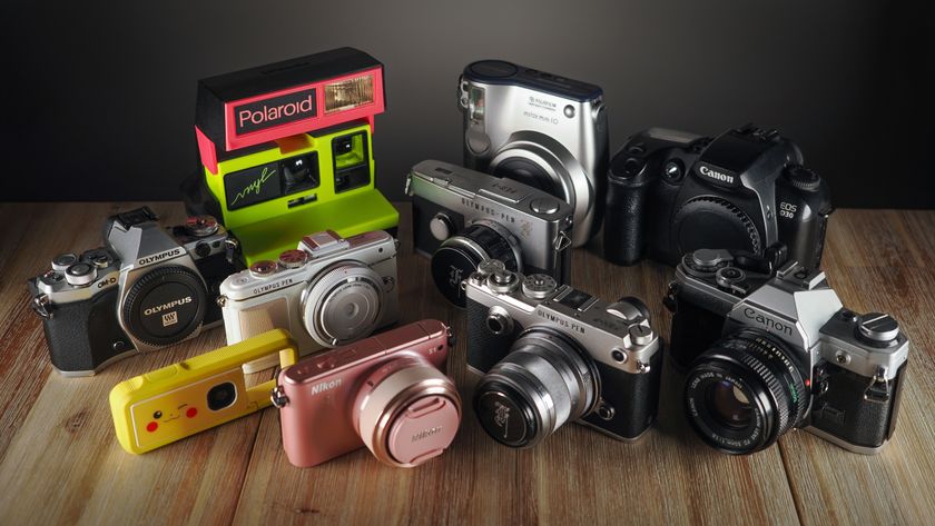 A selection of analog, digital, instant and mirrorless cameras on a wooden surface
