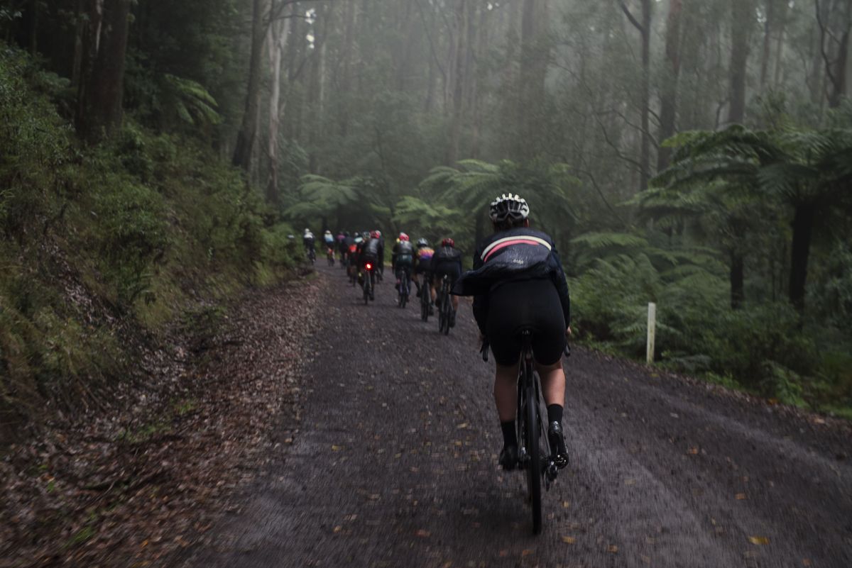 Dirty Warrny reconnaissance ride 2022 heads through the Otways